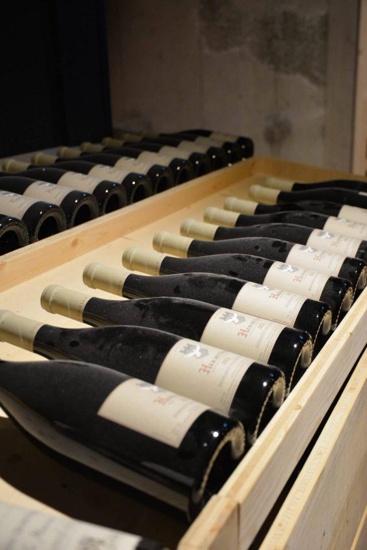 Dégustation de vins à Valence - Le Clos Syrah : Hôtel Restaurant et Spa à Valence